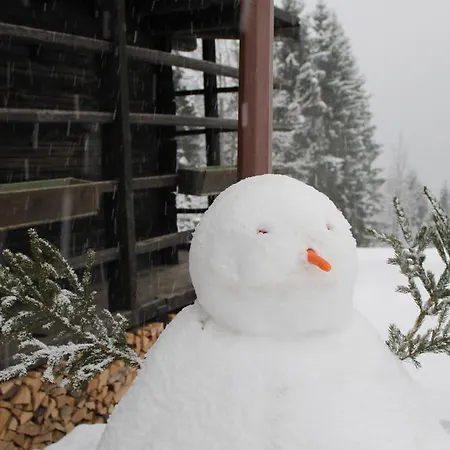 Hotel Rikhelan Шале Саурис