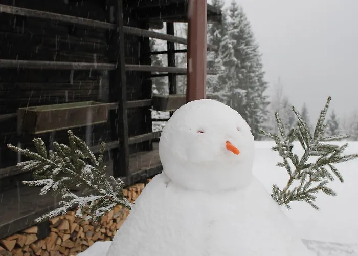 Rikhelan Σαλέ Sauris